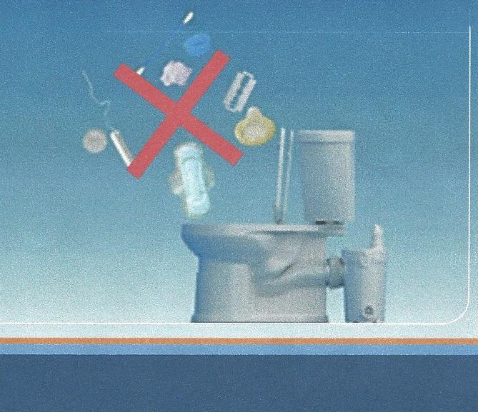 photo of toilet with red x through items of what not to flush down the toilet